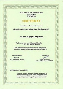 kardent certyfikat 26-1